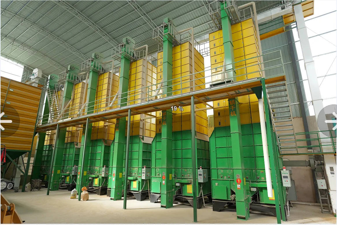 ADV 15TPD Automatic Parboiling Machine for High-Quality Rice Production Output